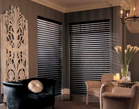 Window Shadings photo 25 of 34